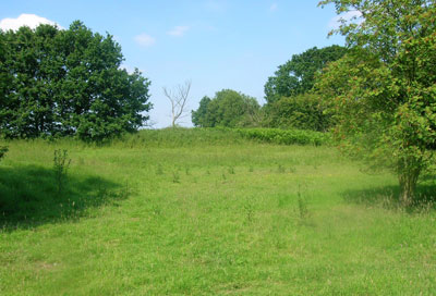land